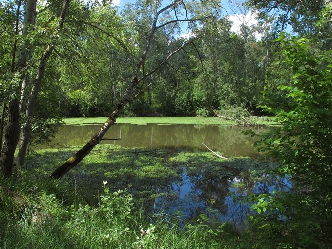 parc cadre de vie blagnac